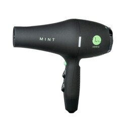 Black Bird Ionic Dryer on white background