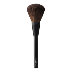 Brush - Powder on white background