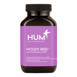 Moody Bird