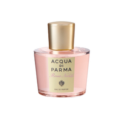 Rosa Nobile EDP on white background