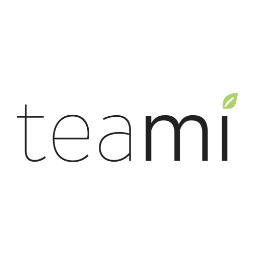Teami Logo